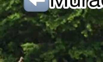 Imagem 5: Bairro de Lourdes Fortaleza - Terreno a Venda