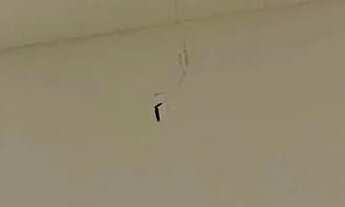 Imagem 7: Apartamento com 03 quartos disponível para aluguel