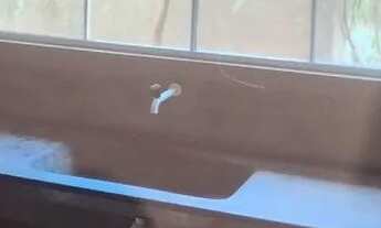 Imagem 3: KITNET PARA ALUGAR