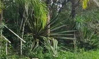 Imagem 6: TERRENO RURAL em MAIRINQUE - SP, Dona Catarina