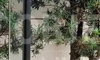 Imagem 7: Casa em Condomínio à venda, 3 quartos, 3 suítes, 3 vagas, Royal Park - UBERLANDIA/MG