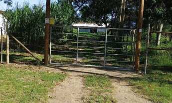 Imagem: Vende-se sítio em Conceição de Macabu