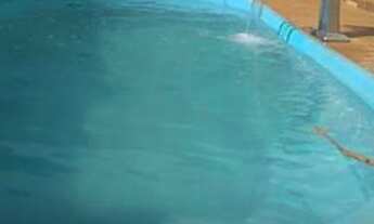 Imagem: Casa para temporada Goianésia mix