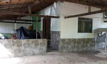 Imagem 5: Vendo Sítio na Floresta em Itaperuna