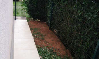 Imagem: Lindo Ap Terreo com Quintal no Vila Matão