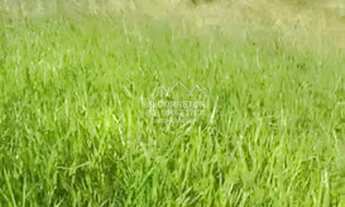 Imagem 3: Teófilo Otoni - Fazenda - Altino Barbosa