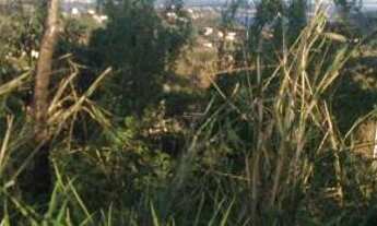 Imagem 2: Terreno no bairro Jacaroá - Maricá