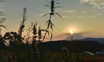 Imagem 6: Venha conhecer os novos terrenos em Mairiporã