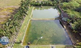 Imagem 3: Terreno à venda, 9.353 m² - Urubuquara - Garuva/SC