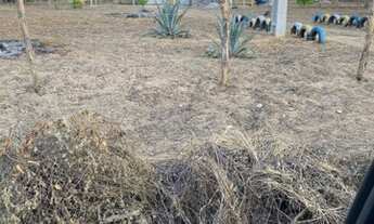 Imagem 4: Sítio Chácara com venda por R$220.000