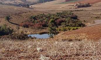 Imagem 5: Fazenda/sítios/chácaras com 3 dormitórios à venda em Pouso Alegre