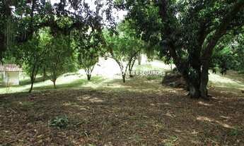 Imagem 6: Fabio Paes Imóveis - Fazenda a venda com 154.88 ha, capacidade 200 vacas, porteira fechada