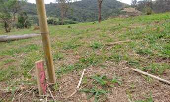 Imagem: 30 - Ótimo acesso, apenas 2 km da rodovia