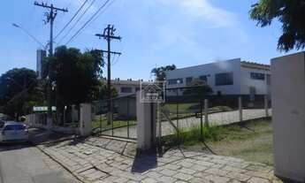 Imagem 6: Galpão - Macuco - Valinhos