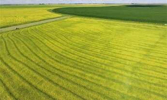 Imagem 6: MM - Fazenda Cultura Mista