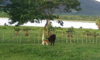 Imagem 5: Fazenda com 698 hectares (6.980.000 metros quadrados) no Boqueirão das Araras - Caucaia