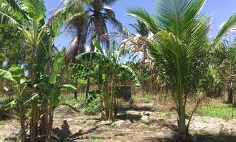 Imagem 5: Vendo Sítio de 1 Hectare em Horizonte(CE) - Oportunidade!