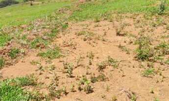 Imagem 3: Nascente em vários pontos!