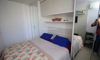 Imagem 6: SãO JOSé - Padrão - Roçado