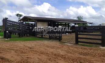 Imagem 2: Fazenda no Pará - Castanhal - 1163 ha (240 alq