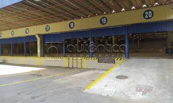 Imagem 4: Galpão Monousuário 19mil m - Locação- Barueri