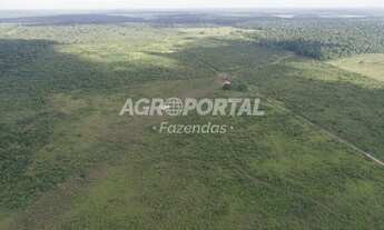 Imagem 6: Fazenda no Pará - Tailândia - 503 ha (170 alq