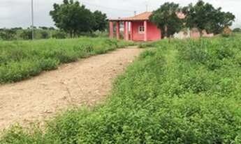 Imagem 2: Vendo 27 tarefas