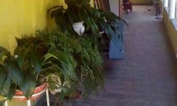 Imagem 6: Sitio em guapiara