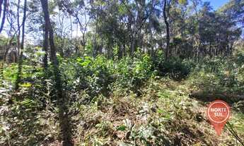 Imagem 10: Terreno à venda, 2000 m² por R$ 130.000 - Retiro do Brumado - Brumadinho/Minas Gerais
