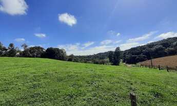 Imagem 7: Terreno Rural próximo a ponto turístico em região valorizada em Campo Alegre/SC