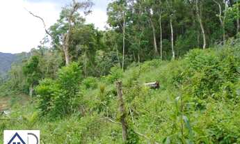 Imagem 7: Terreno para Venda em Nova Friburgo, MURY, 99 vagas