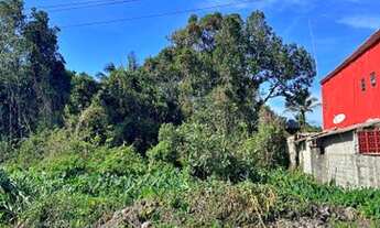 Imagem 3: Terreno a poucos metros da praia de Boracéia - São Sebastião