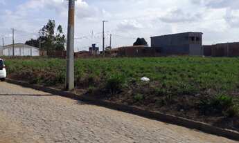 Imagem: Terreno Em Carpina