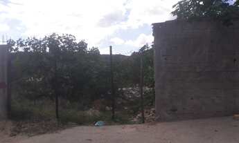 Imagem 5: IBIRITé - Terreno Padrão - Palmeiras