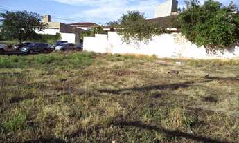 Imagem 3: Terreno Comercial para Venda em Ribeirão Preto, Alto da Boa Vista