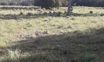 Imagem 2: VENDO SITIO Chácara com venda por R$350.000