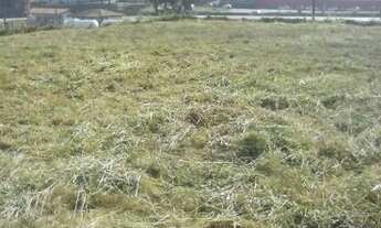 Imagem 5: Terreno Barra Mansa