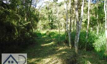 Imagem 7: Sítio para Venda em Nova Friburgo, MURY