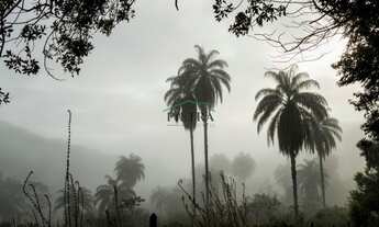 Imagem 3: Nova Lima - Loteamento/Condomínio - Pasárgada