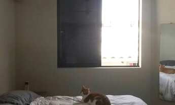 Imagem 7: Apartamento para Venda em Florianópolis, Canasvieiras, 2 dormitórios, 1 banheiro, 1 vaga