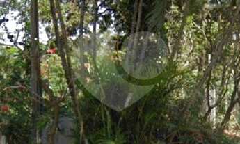 Imagem: Chacara PQ Jambeiro