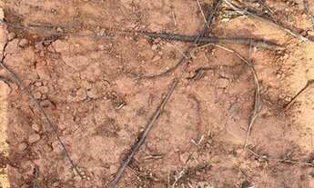 Imagem 5: Fazenda à venda, 614Ha - em TUPIRATINS/TO