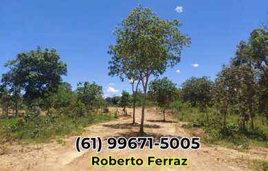 Imagem 3: Chácara 69mil Metros quadrados Padre Bernardo Na beira do rio