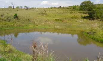 Imagem: Chácara 12 Alqueires - Santo Antonio do