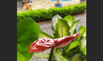 Imagem 6: Casa com 5 dormitórios, piscina espaço gourmet a venda no bairro Indianópolis em Caruaru-P