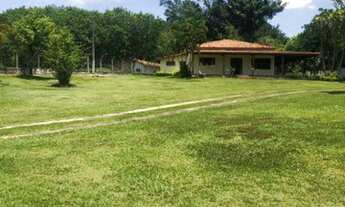 Imagem 6: CHÁCARA OPORTUNIDADE 55 MIL M2 EM TATUI APENAS 700 MIL