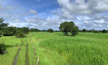 Imagem 5: Fazenda 60 alqueires