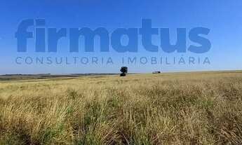 Imagem 2: Santa Maria da Serra - Fazenda - Área Rural de Santa Maria da Serra