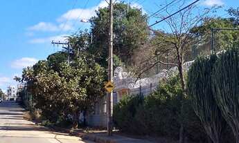 Imagem 2: Lote/Terreno no Bairro Lagoa Mansões com muita natureza!!