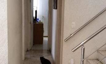 Imagem 6: Apartamento Duplex/Cobertura em São Paulo